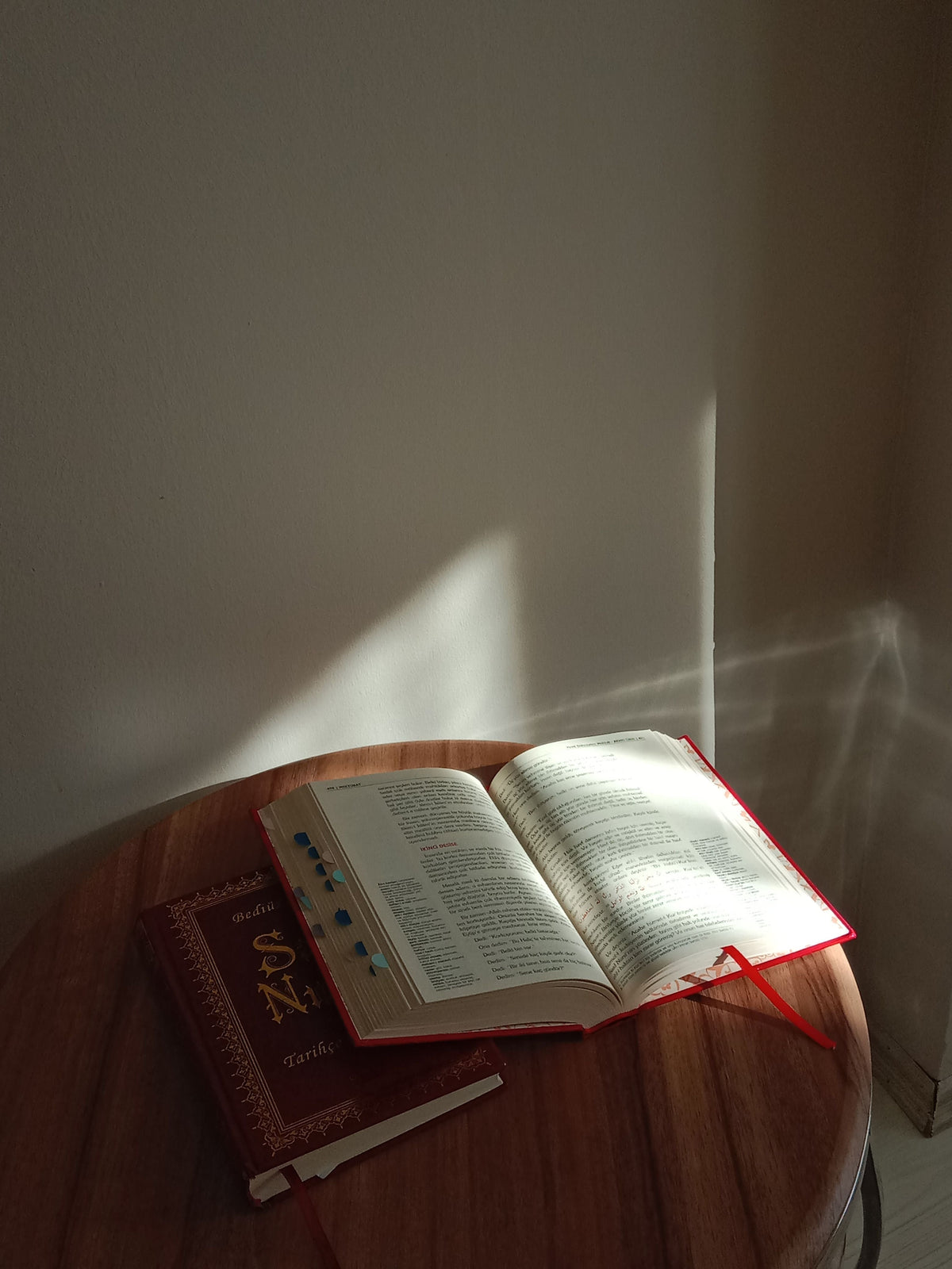 Study Bibles